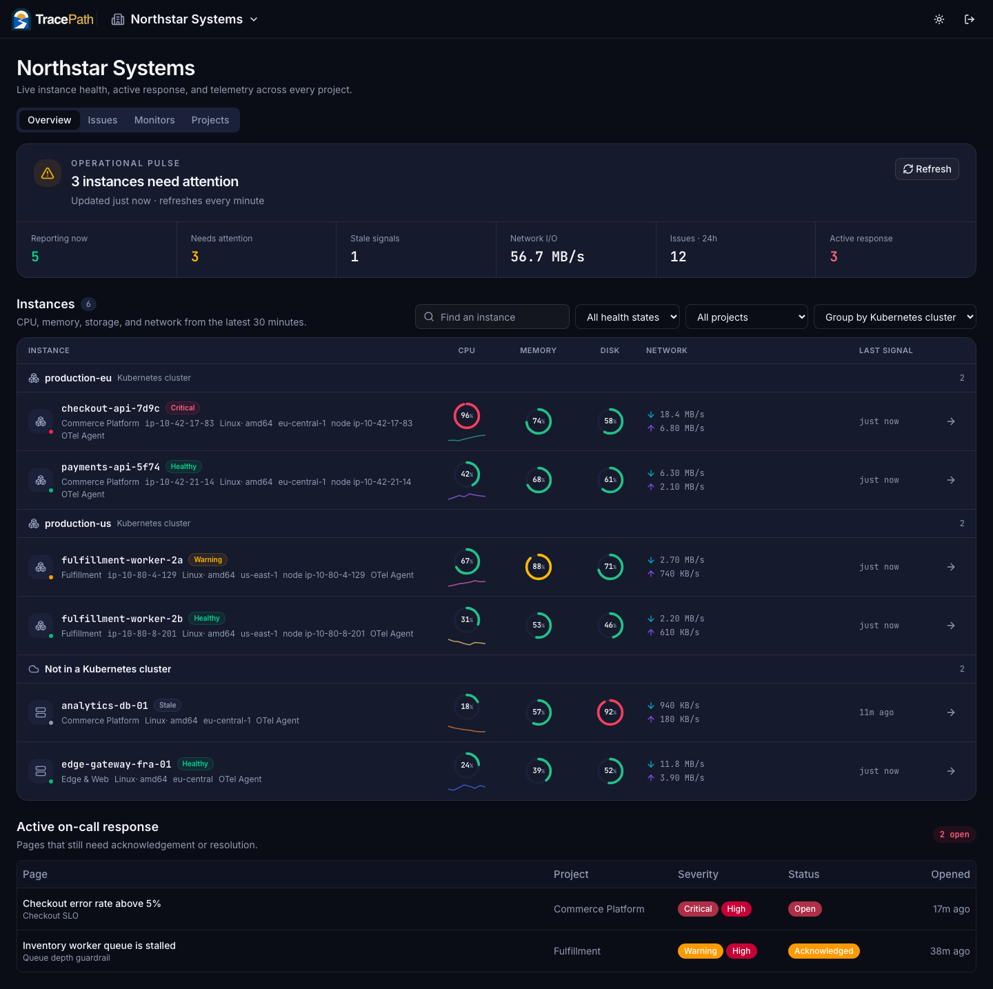 The TracePath organization overview: operational pulse counters and an instance table grouped by Kubernetes cluster